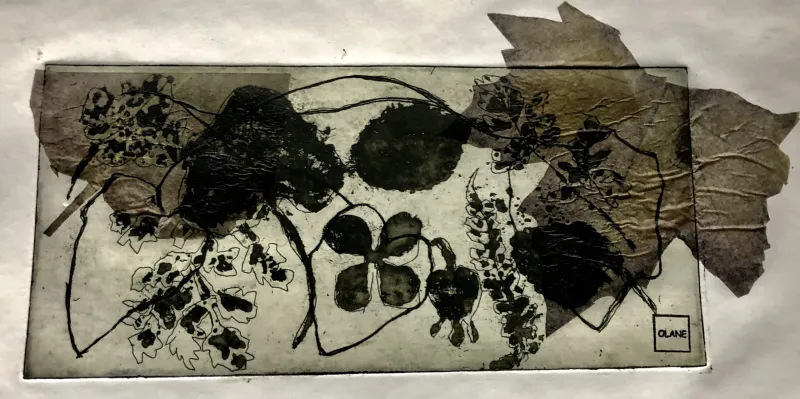 Herbier